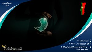 رشته گوارش در پرتغال
