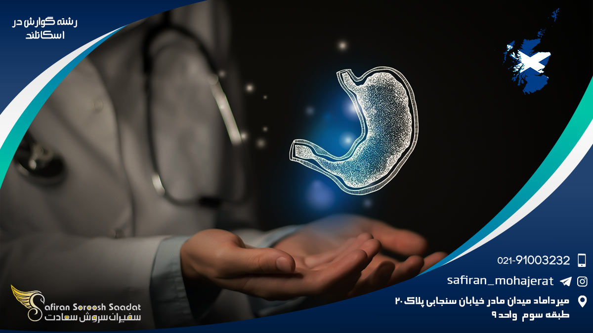 رشته گوارش در اسکاتلند