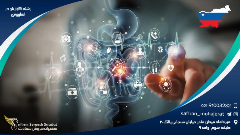 رشته گوارش در اسلوونی