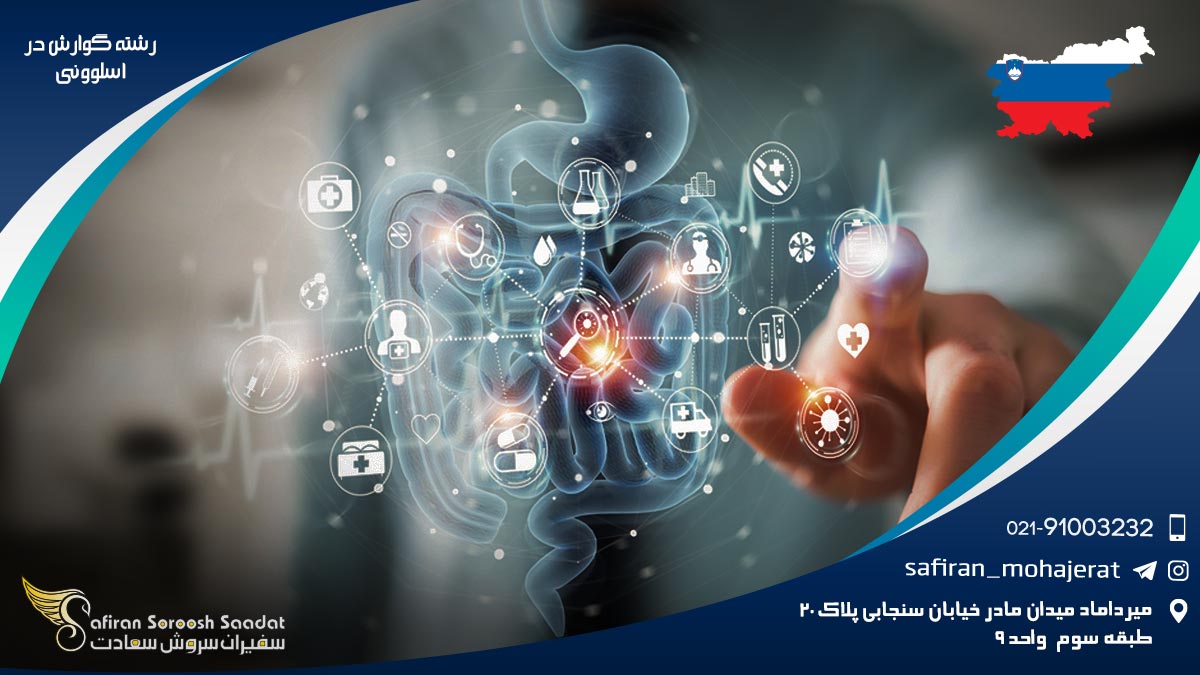 رشته گوارش در اسلوونی