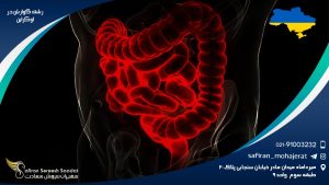 رشته گوارش در اوکراین