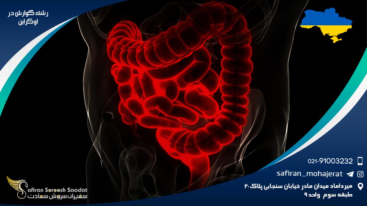 رشته گوارش در اوکراین