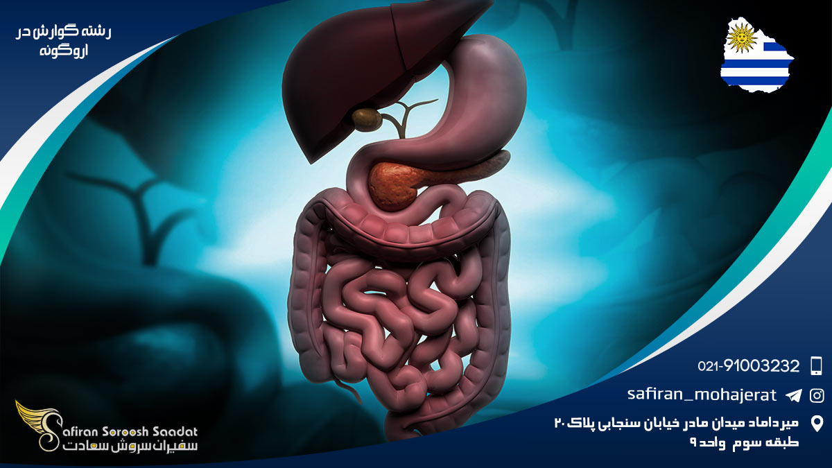 رشته گوارش در اروگوئه