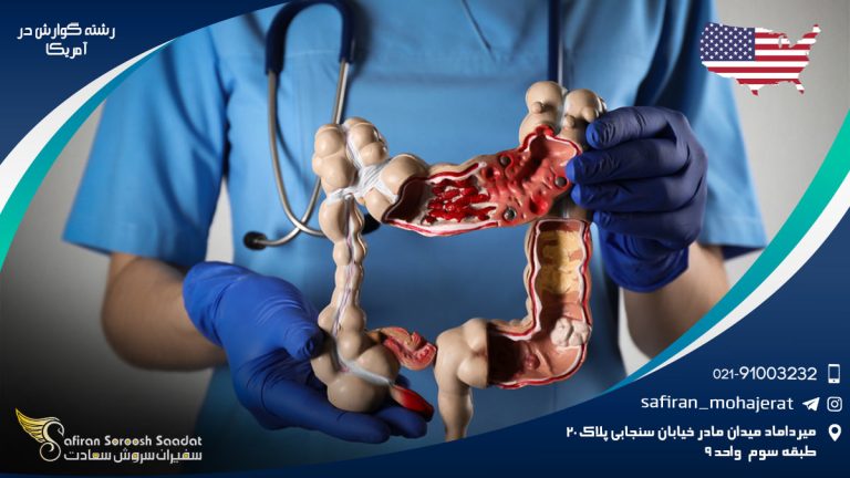 رشته گوارش در آمریکا