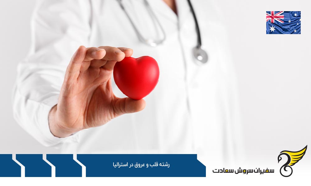معرفی 10 دانشگاه برتر رشته قلب و عروق در استرالیا