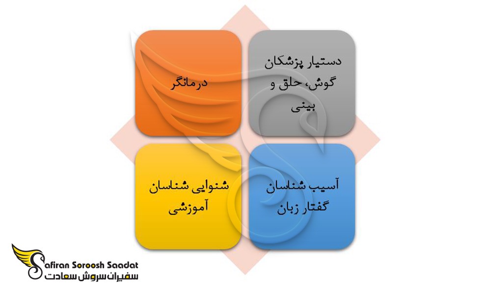 مشاغل موجود برای فارغ التحصیلان رشته شنوایی سنجی در نیوزلند