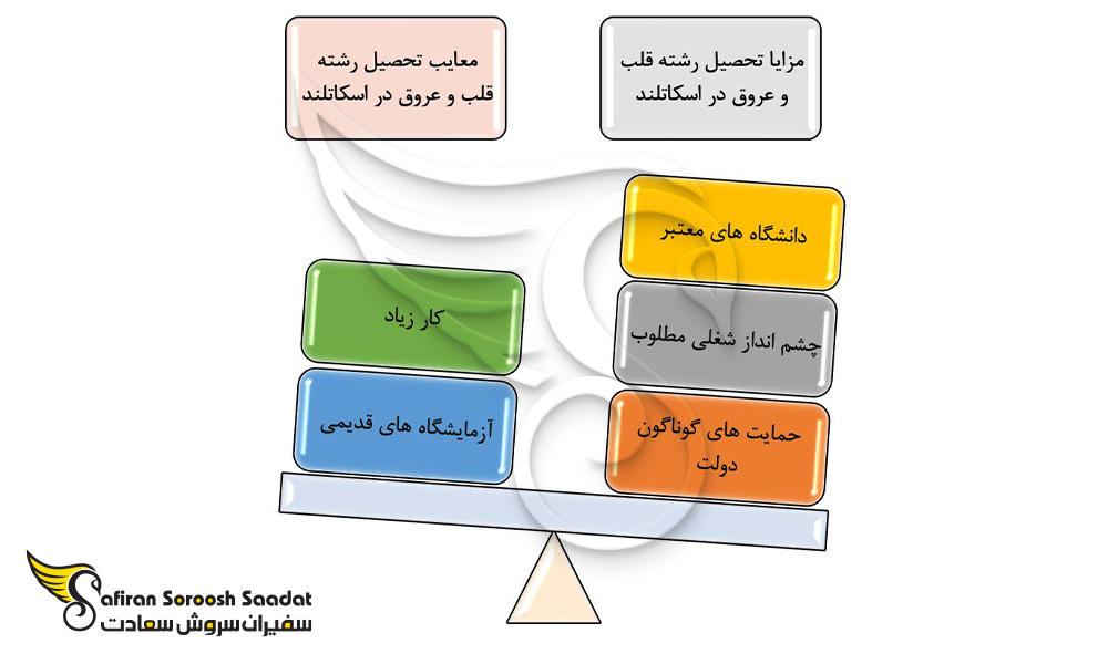 مزایا و معایب اساسی رشته قلب و عروق در اسکاتلند
