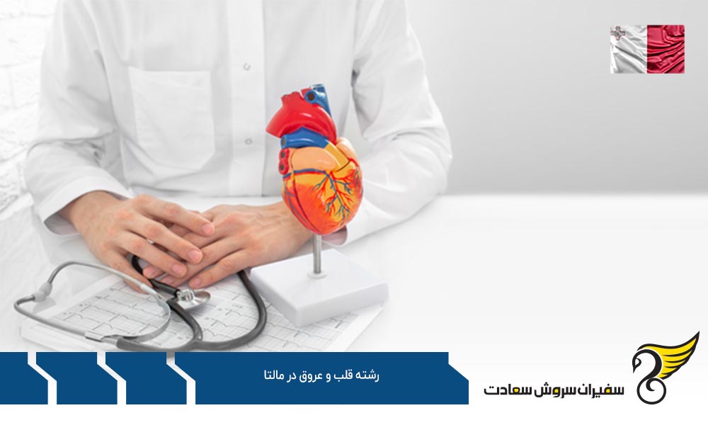 فرایند دریافت پذیرش رشته قلب و عروق در مالتا