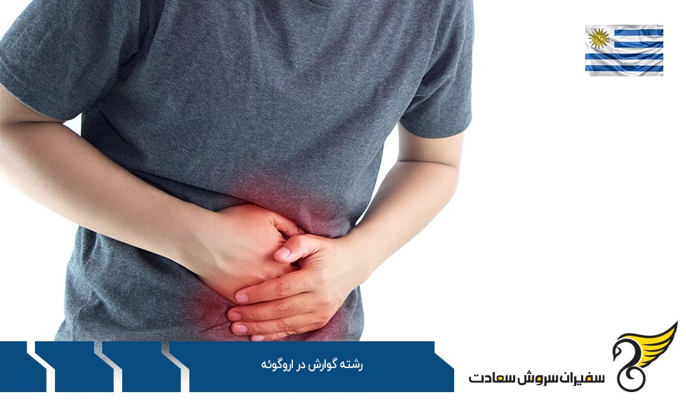اخذ ویزا برای تحصیل در رشته گوارش در اروگوئه