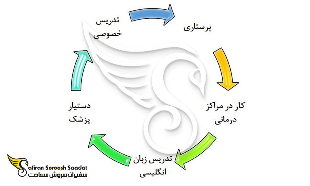 مشاغل محبوب برای کار حین تحصیل رشته قلب و عروق در دومینیکا
