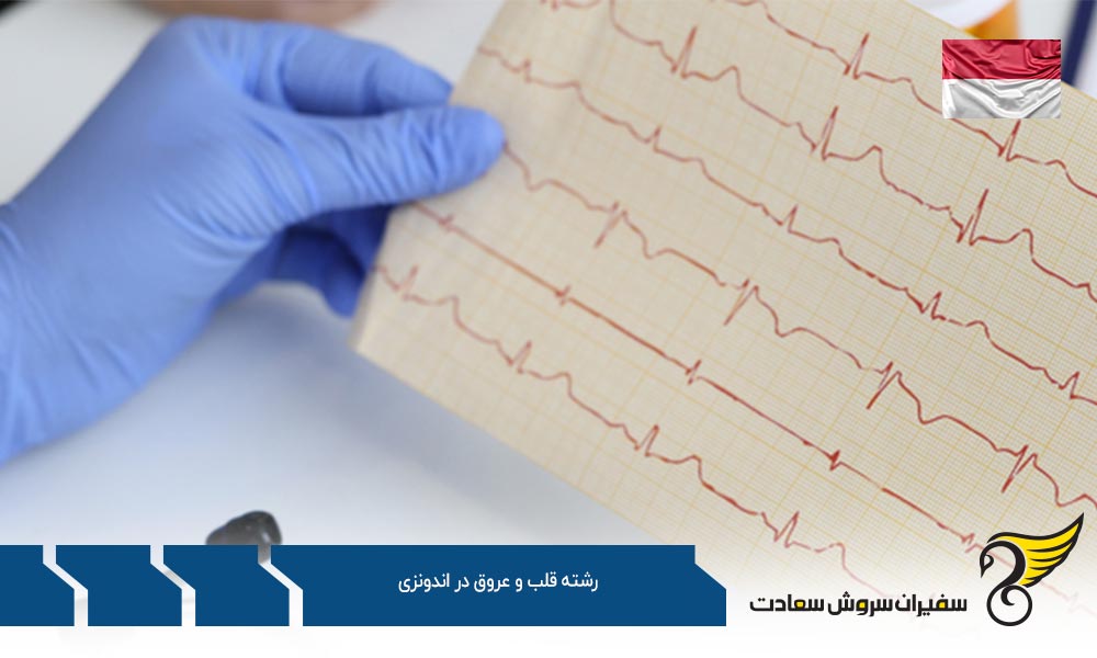مجوز تحصیل برای تحصیل در رشته قلب و عروق در اندونزی