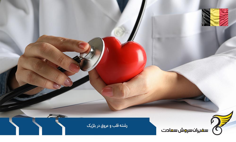 بهترین دانشگاه های رشته قلب و عروق در بلژیک