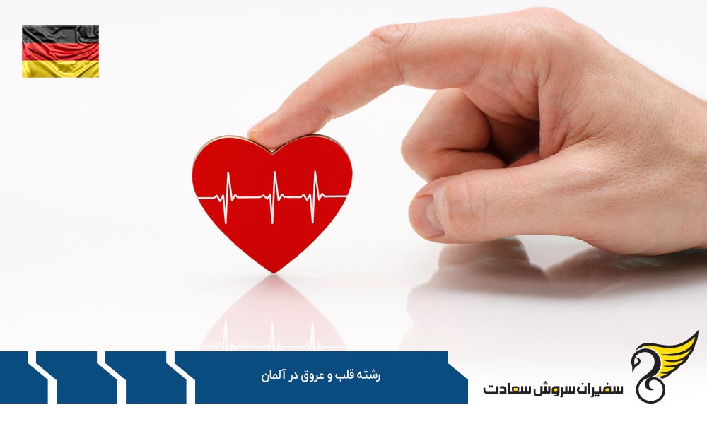 بهترین دانشگاه های رشته قلب و عروق در آلمان