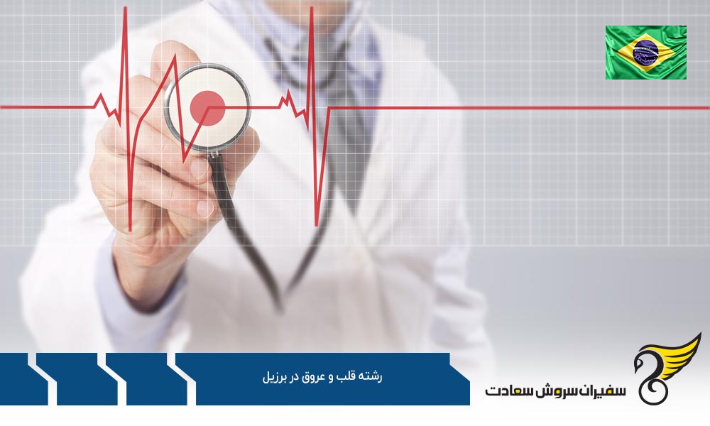 بهترین دانشگاه ها برای رشته قلب و عروق در برزیل