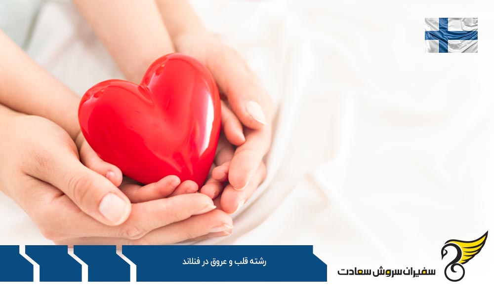 بهترین دانشگاه ها برای رشته قلب و عروق در فنلاند