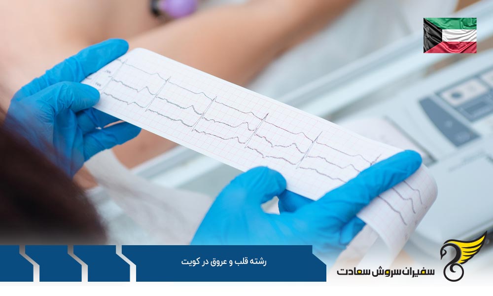 بهترین دانشگاه ها برای رشته قلب و عروق در کویت