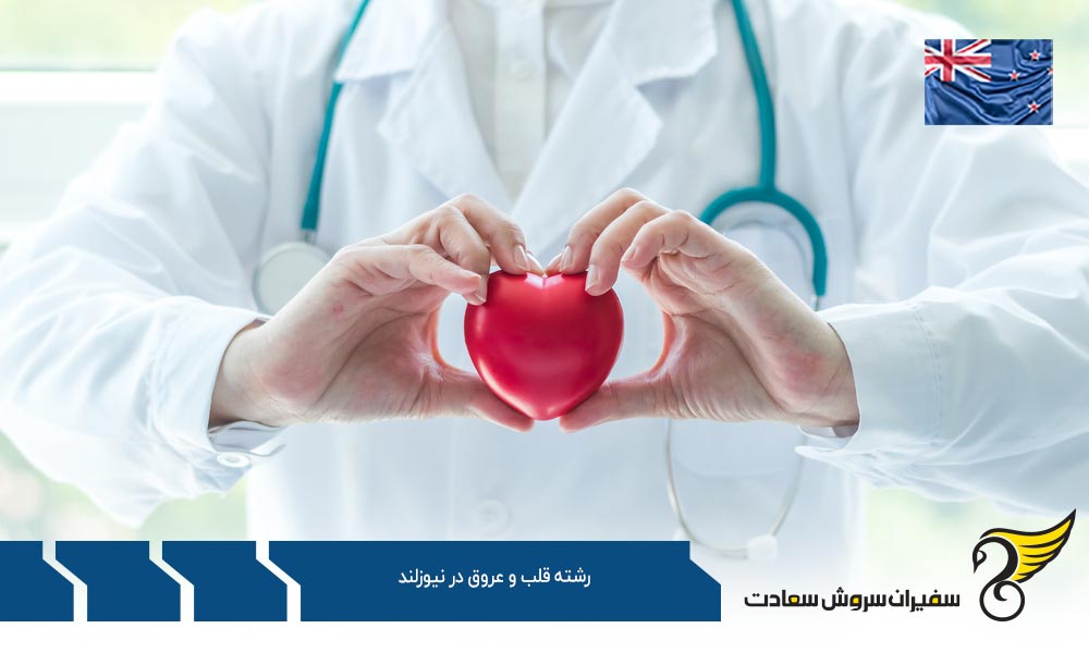 بهترین دانشگاه ها برای رشته قلب و عروق در نیوزلند