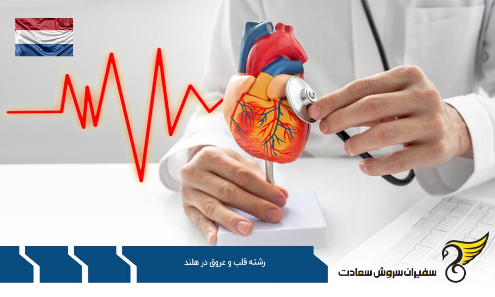 بهترین دانشگاه ها برای رشته قلب و عروق در هلند