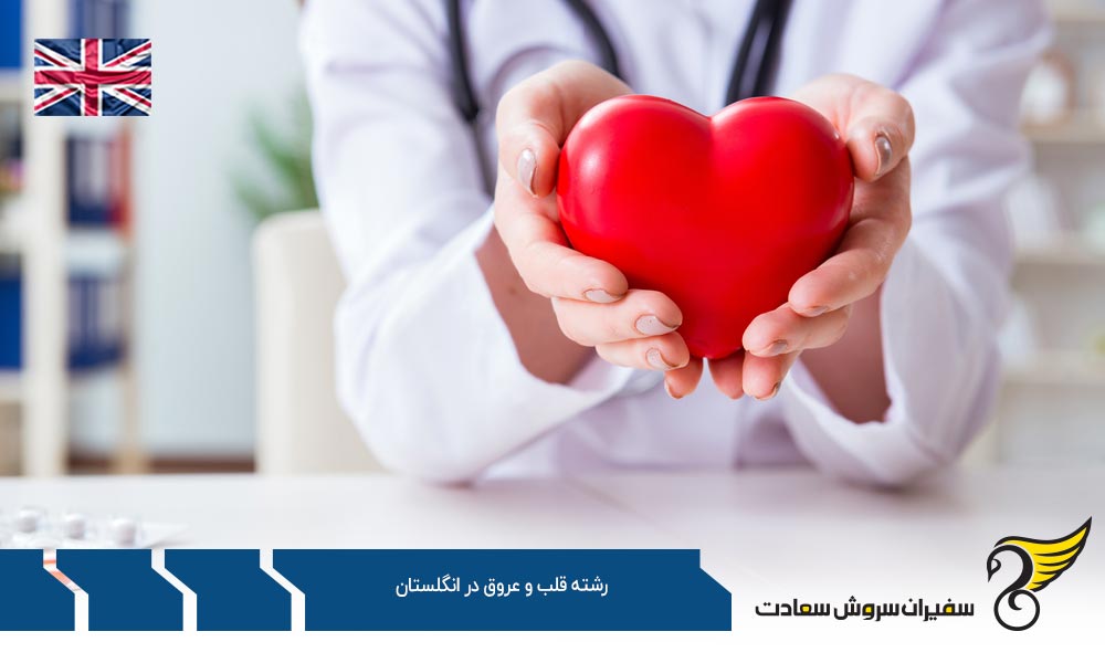بهترین دانشگاه ها برای رشته قلب و عروق در انگلستان