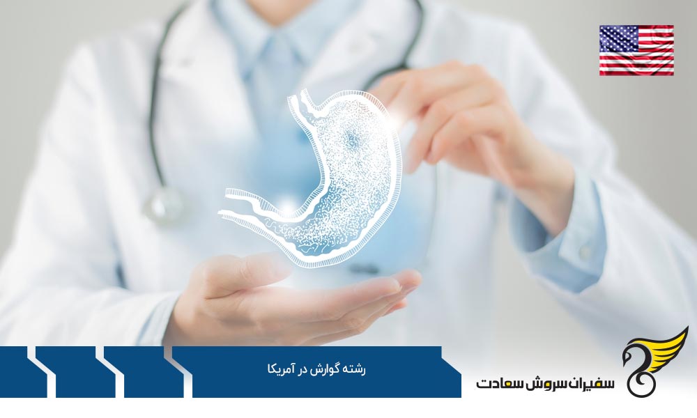 بهترین دانشگاه ها برای رشته گوارش در آمریکا