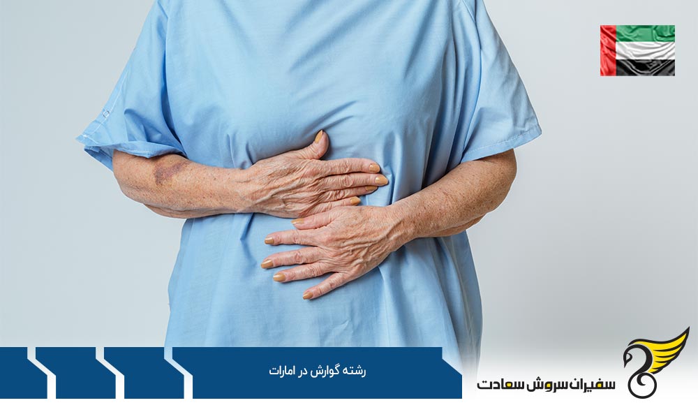 بهترین دانشگاه ها برای رشته گوارش در امارات