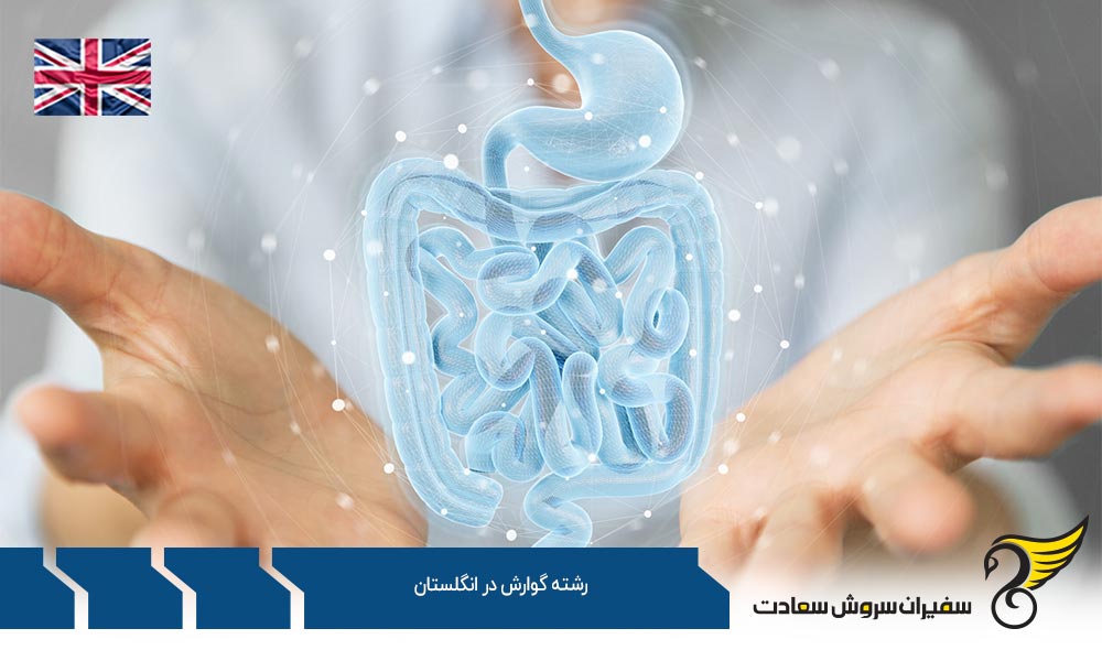 بهترین دانشگاه ها برای رشته گوارش در انگلستان