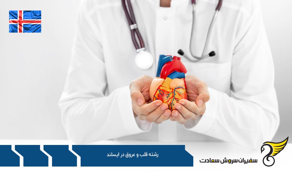 هزینه تحصیل و زندگی دانشجویان رشته قلب و عروق در ایسلند
