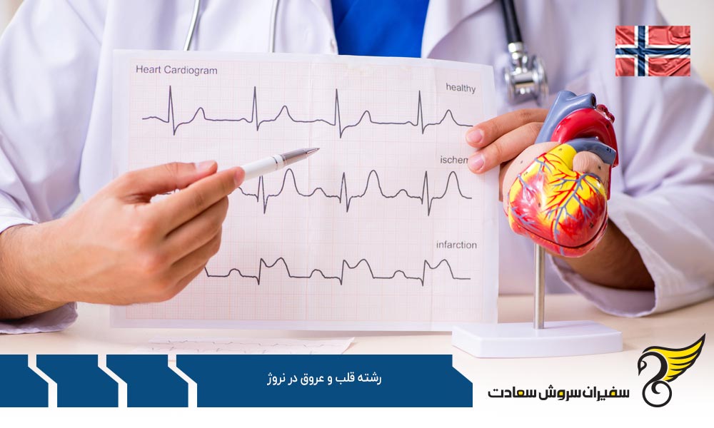 هزینه تحصیل رشته قلب و عروق در نروژ