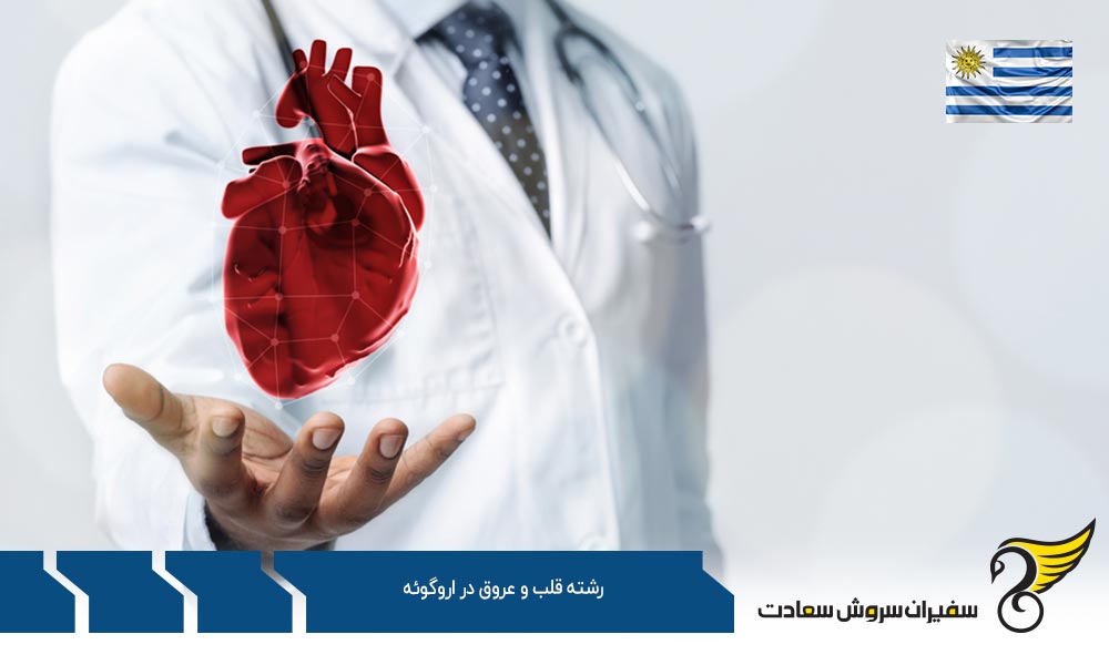 هزینه تحصیل رشته قلب و عروق در اروگوئه