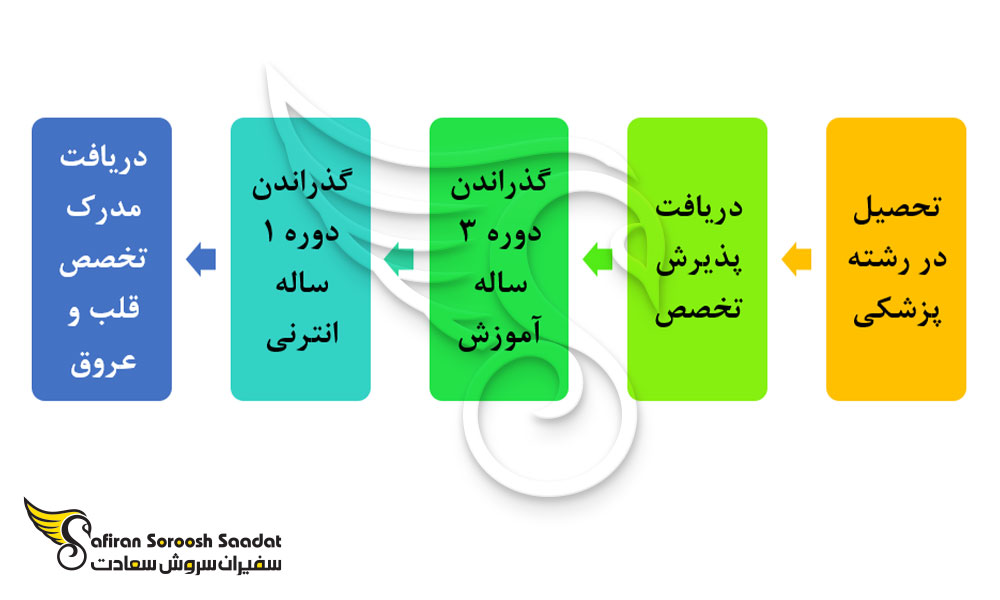 فرآیند دریافت مدرک تخصصی قلب و عروق