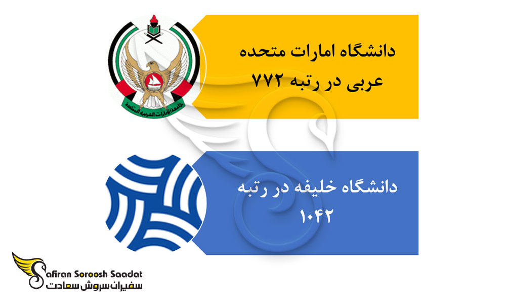 دانشگاه های برتر رشته قلب و عروق در امارات
