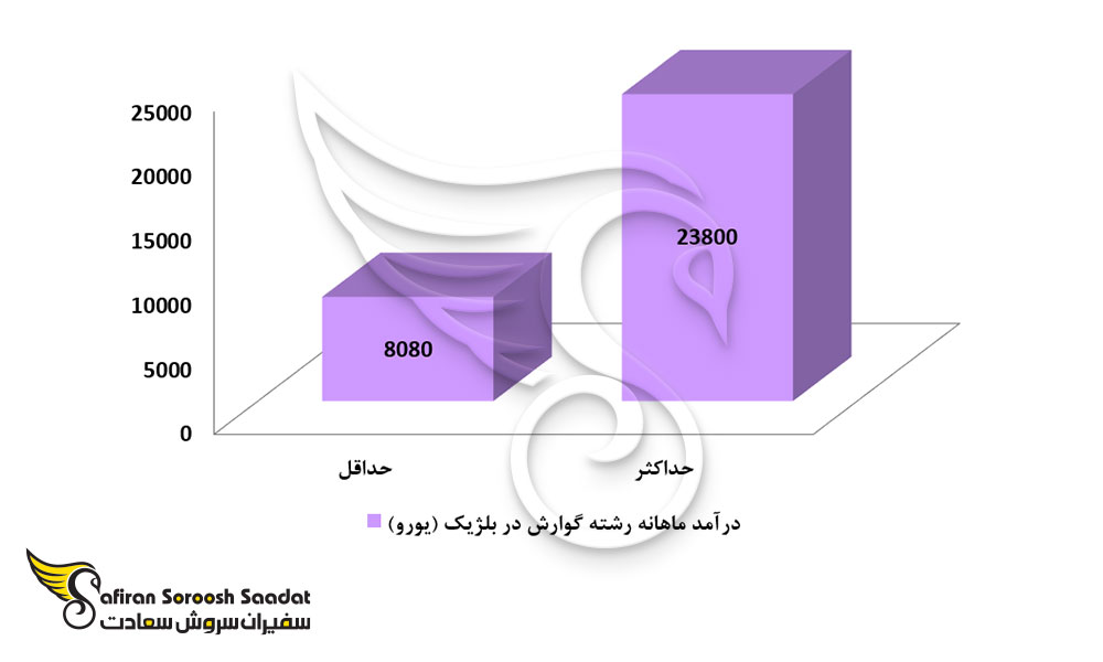 حدود درآمد رشته گوارش در بلژیک