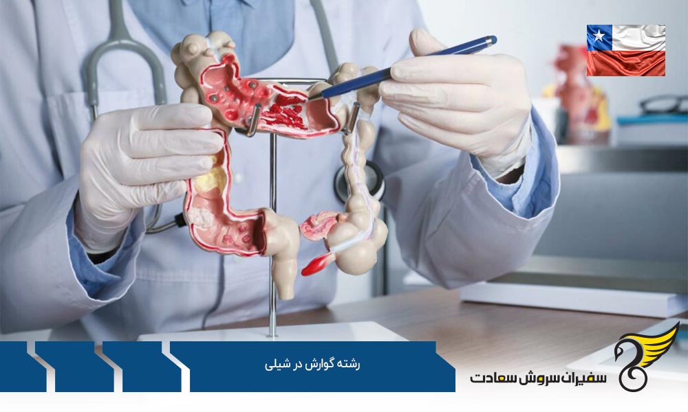 شرایط پذیرش تحصیلی در رشته گوارش در شیلی