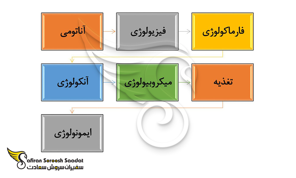شرایط دریافت تخصص در رشته گوارش در هند