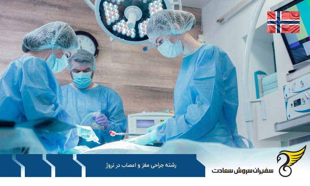 هزینه تحصیل رشته جراحی مغز و اعصاب در نروژ