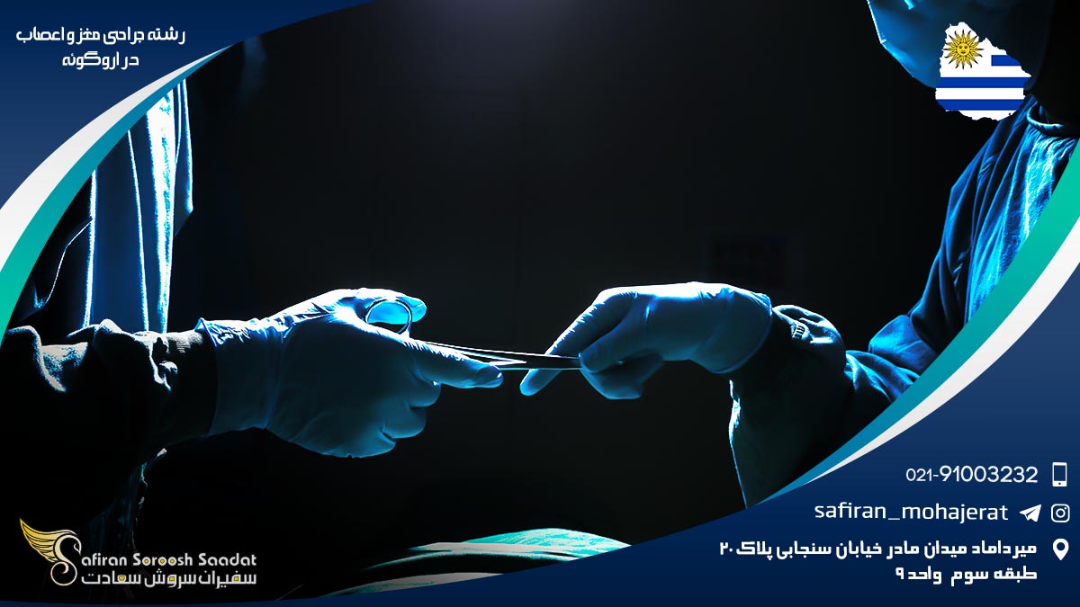 رشته جراحی مغز و اعصاب در اروگوئه
