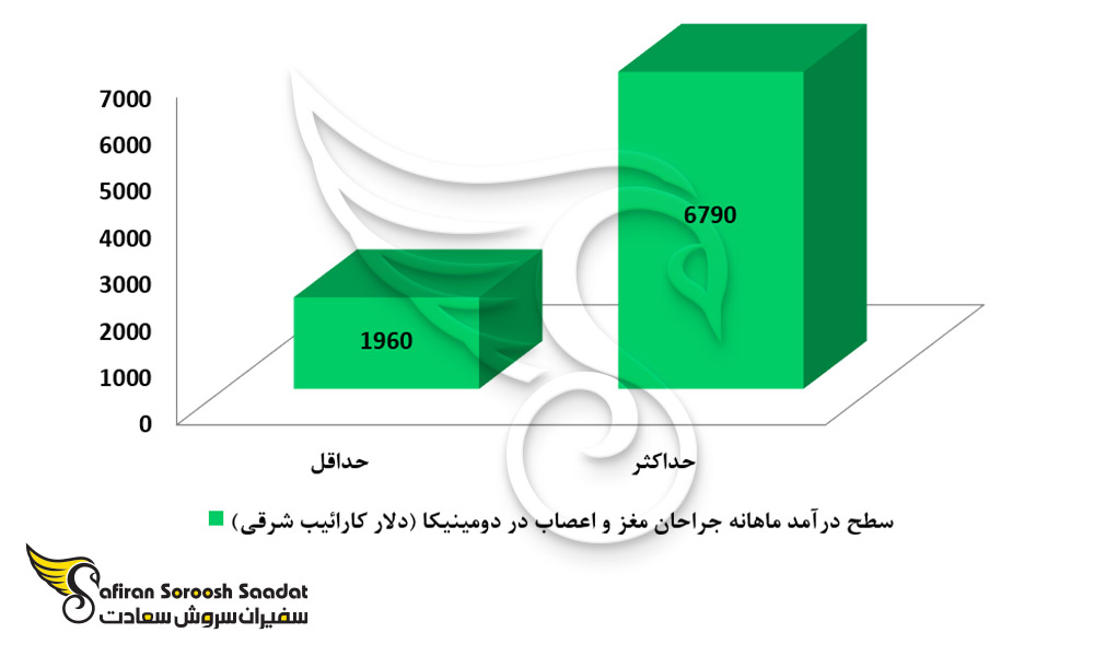 درآمد رشته جراحی مغز و اعصاب در دومینیکا