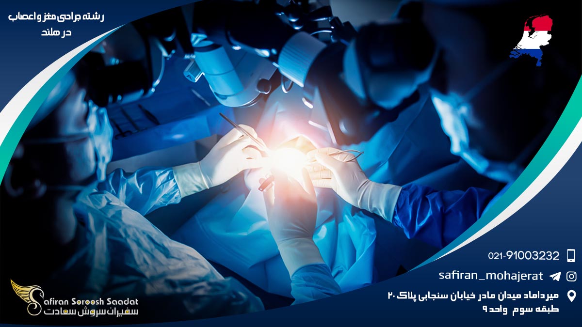 رشته جراحی مغز و اعصاب در هلند