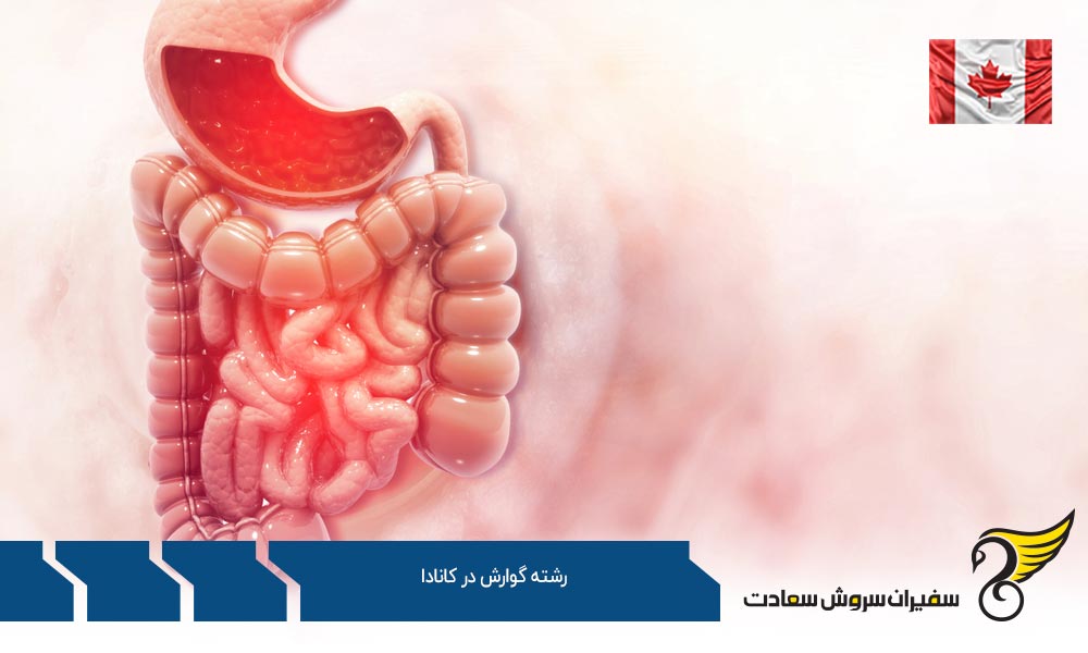 شرایط مالی مورد نیاز تحصیل رشته گوارش در کانادا