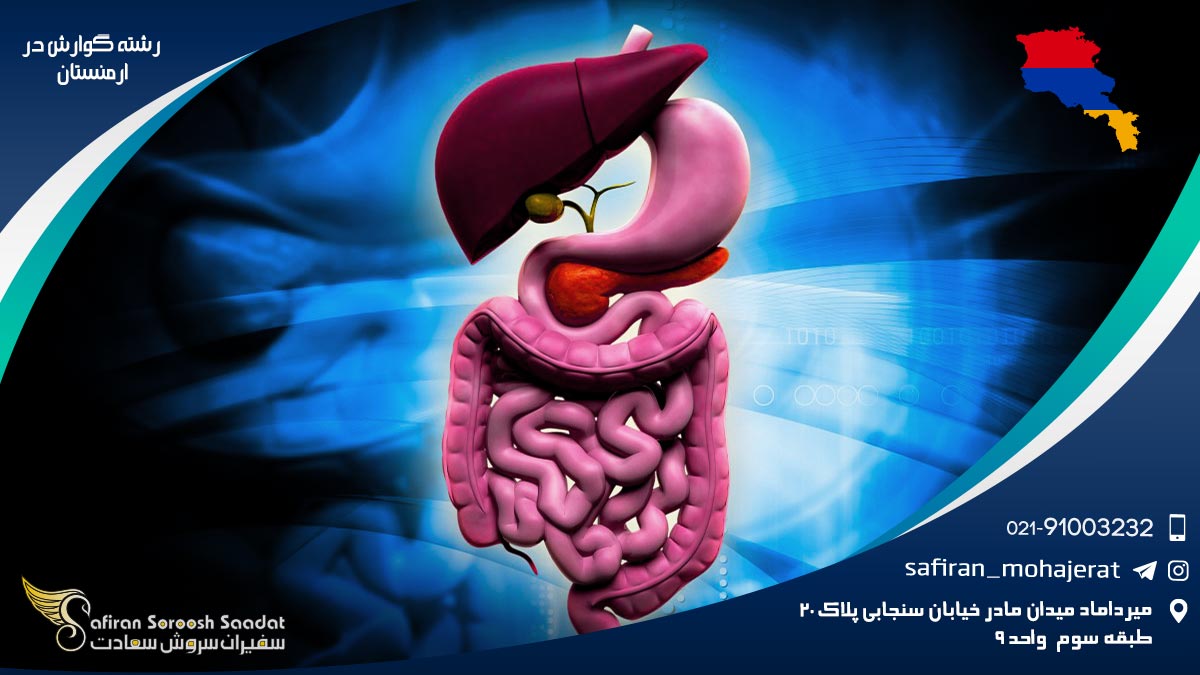 رشته گوارش در ارمنستان
