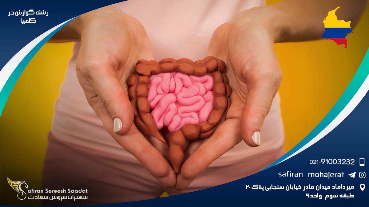 رشته گوارش در کلمبیا