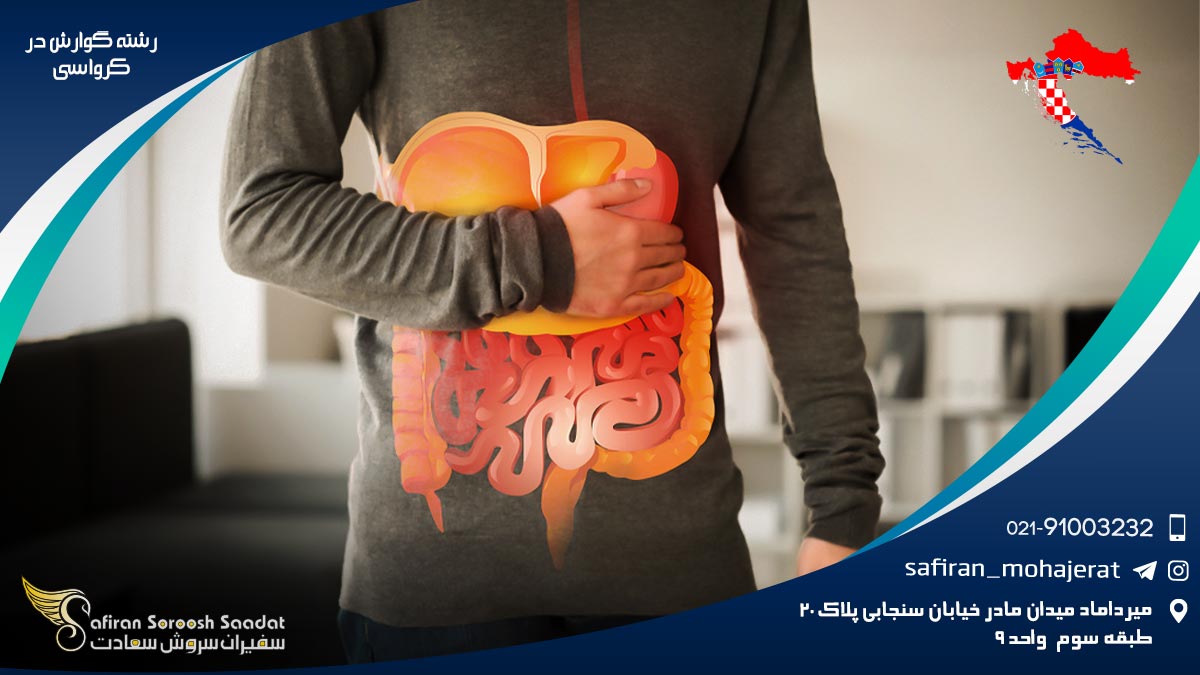 رشته گوارش در کرواسی