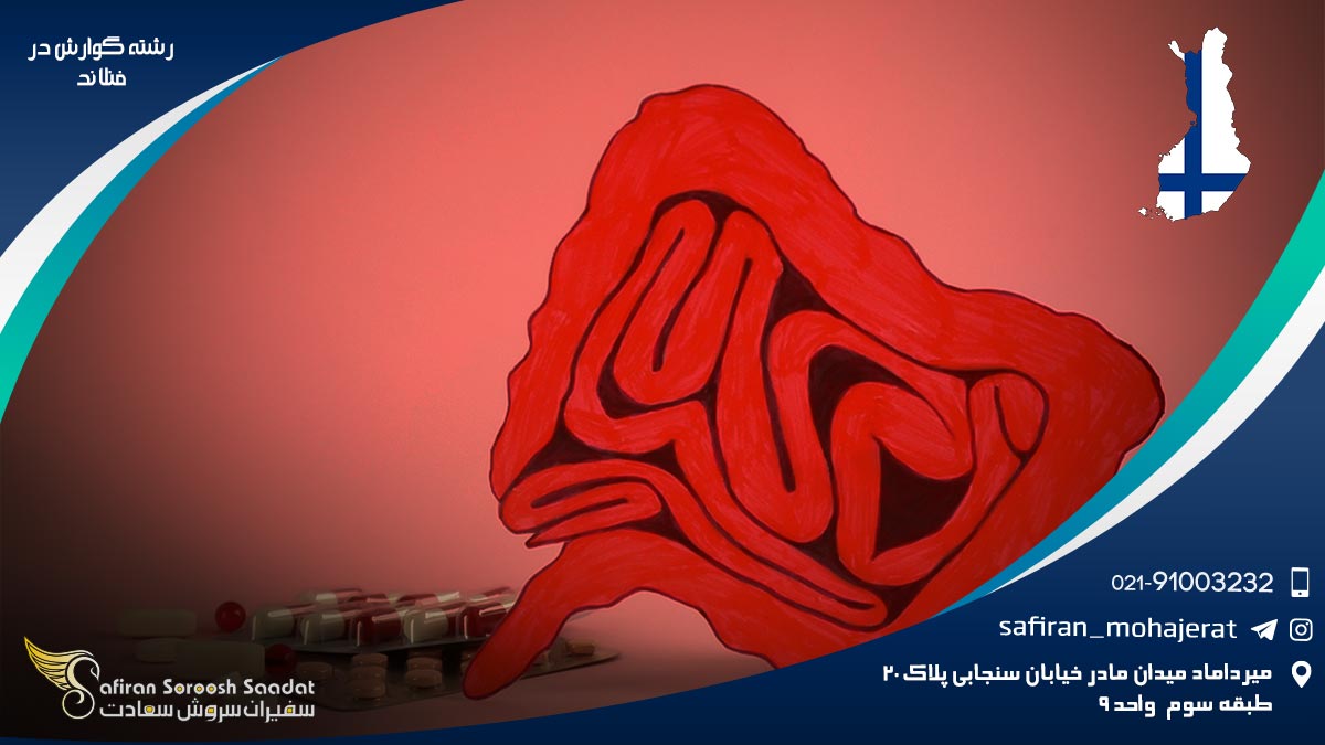رشته گوارش در فنلاند