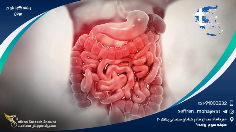 رشته گوارش در یونان