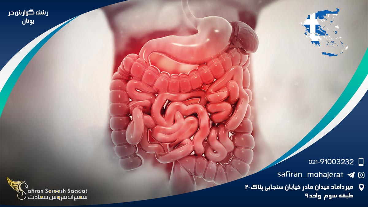 رشته گوارش در یونان