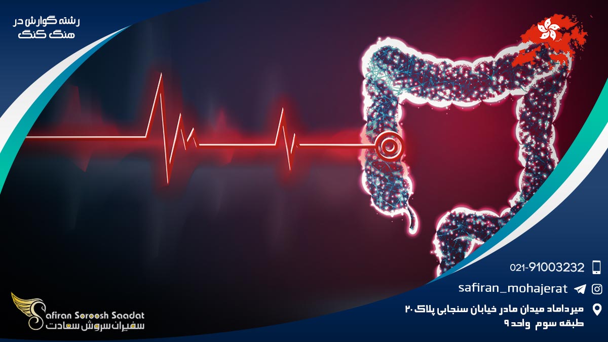 رشته گوارش در هنگ کنگ
