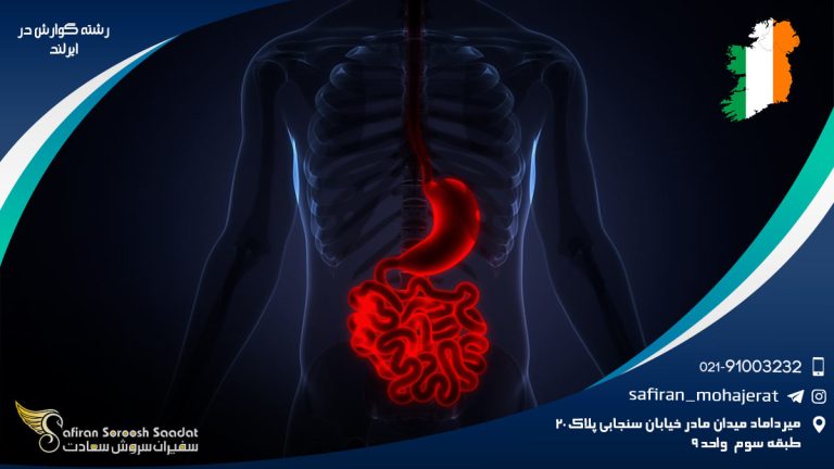رشته گوارش در ایرلند