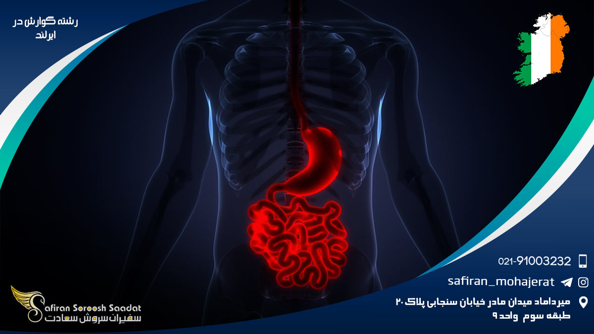 رشته گوارش در ایرلند