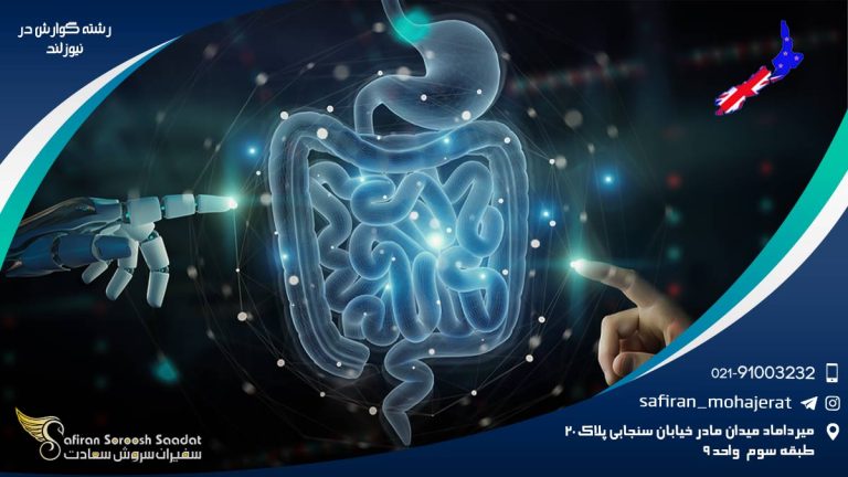 رشته گوارش در نیوزلند