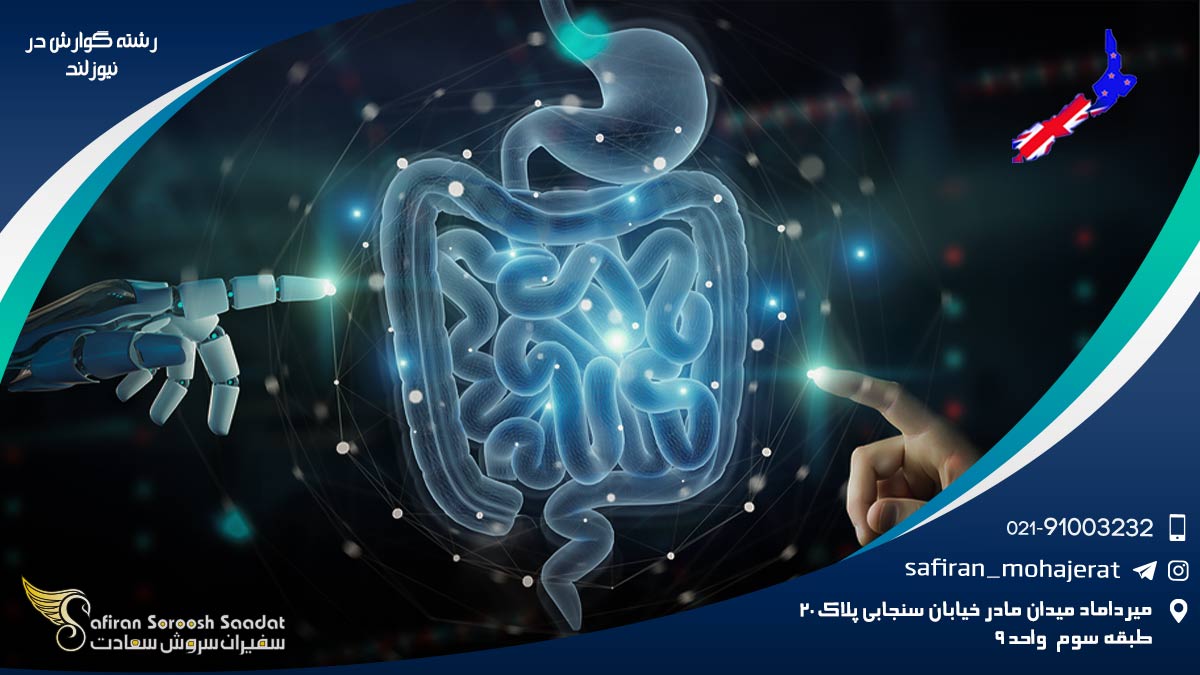 رشته گوارش در نیوزلند